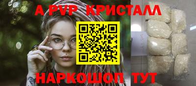 прущие крисы Гусев